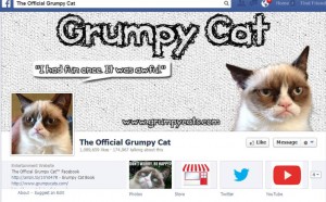 social media today, grumpy cat facebook, social media, facebook