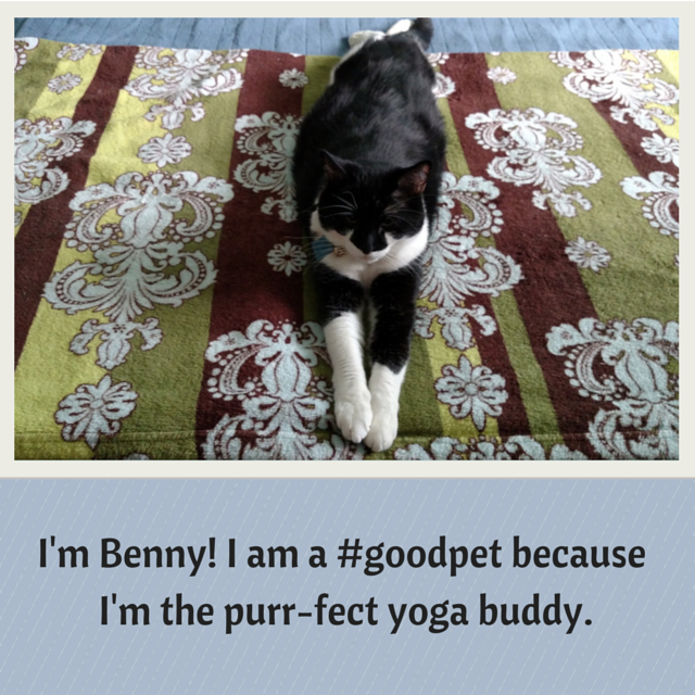 2015goodhousekeepinginstagrampetcontestnutrishgoodpetcontest